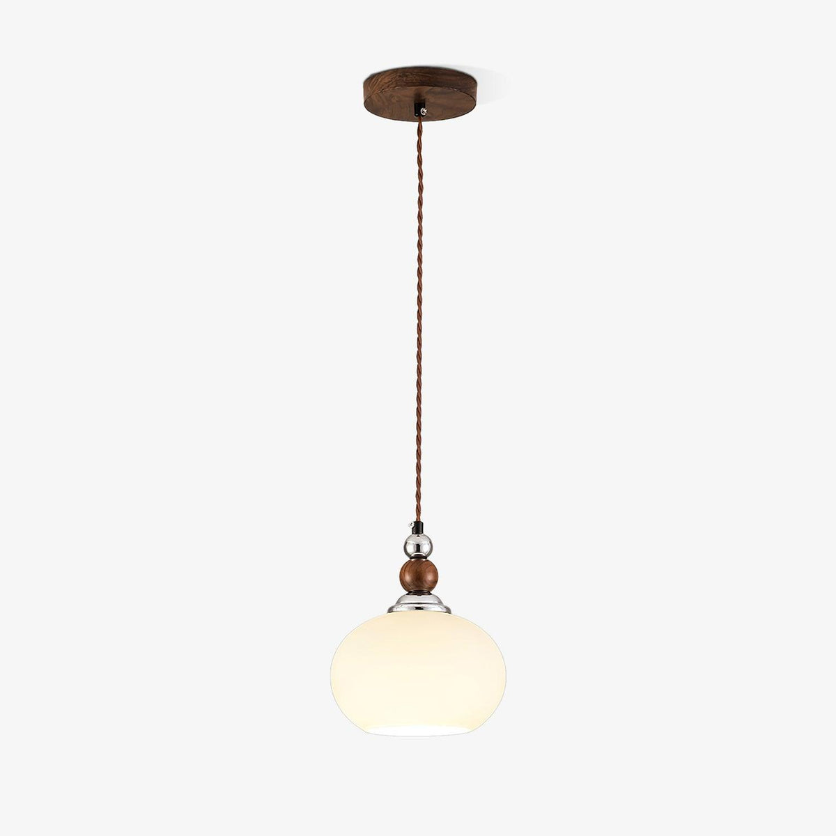 Eiruelia Modern Glass Pendant Lamp