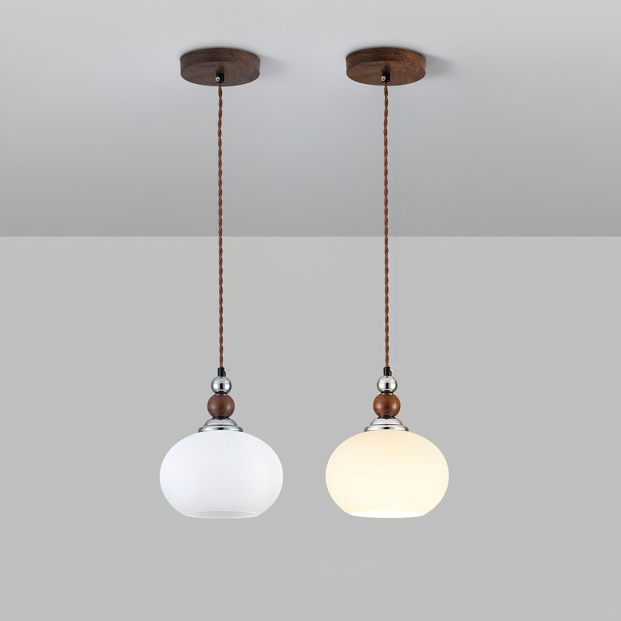 Eiruelia Modern Glass Pendant Lamp