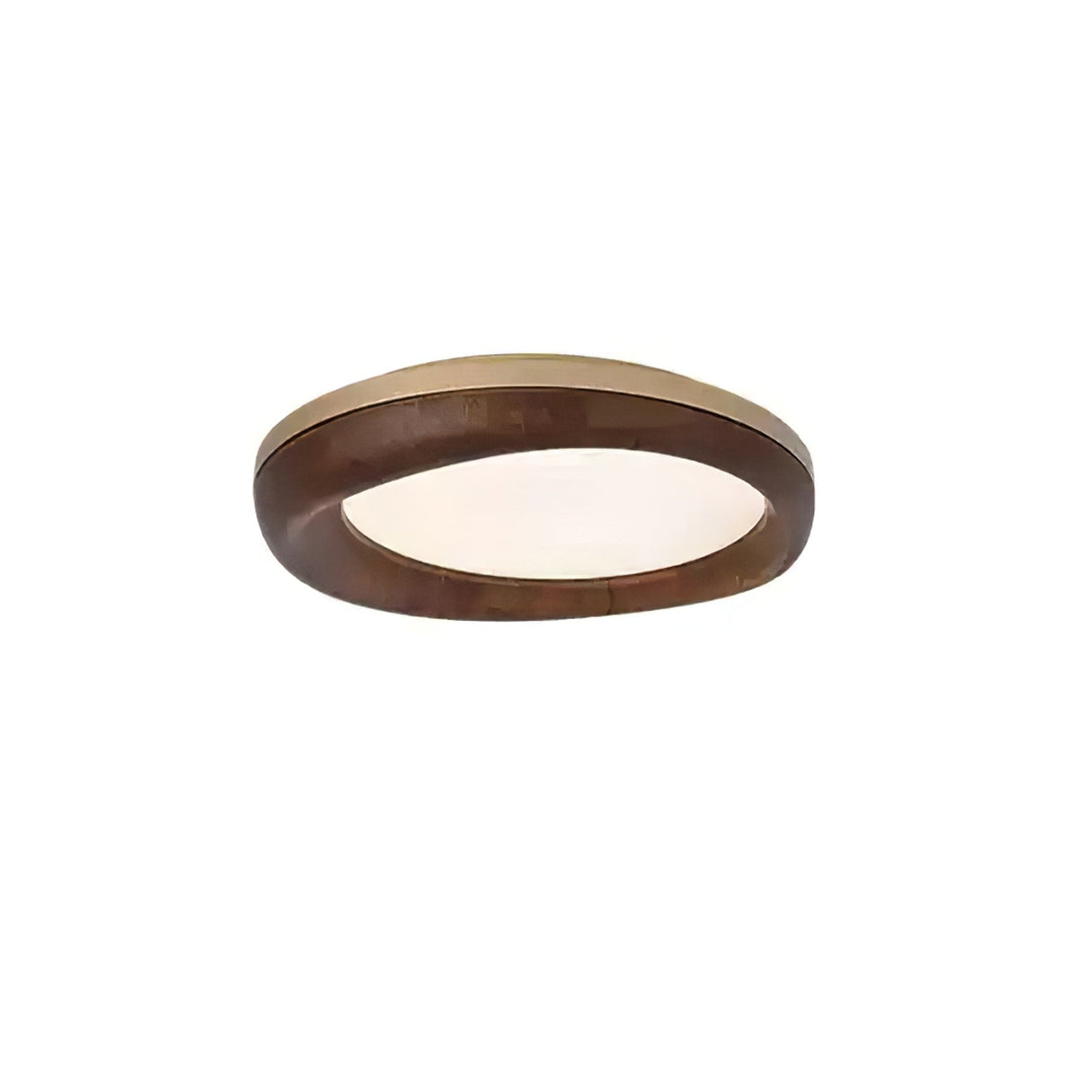 Eurtheara Organic Wood Glass Ceiling Light