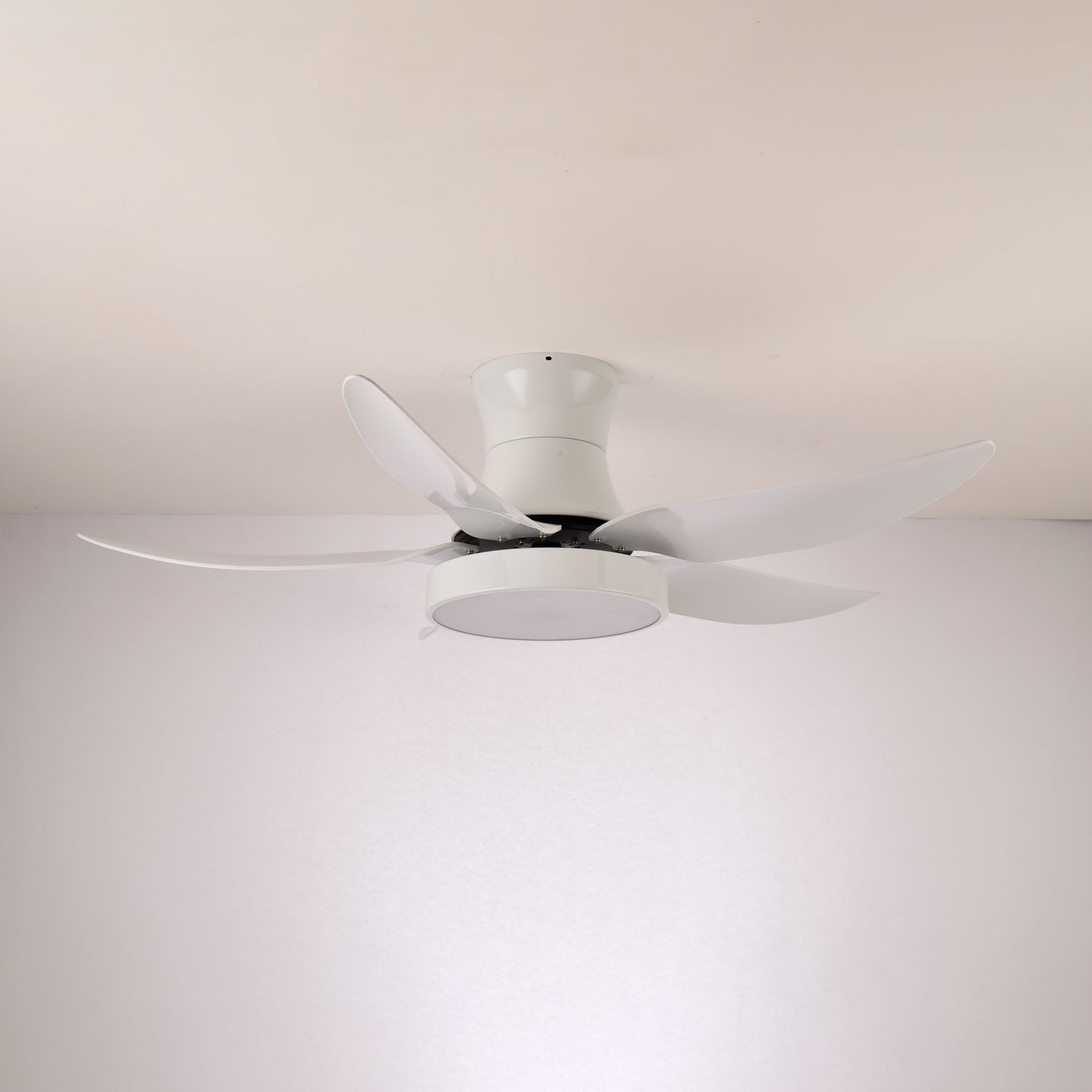 Jada Modern Black Ceiling Fan Light
