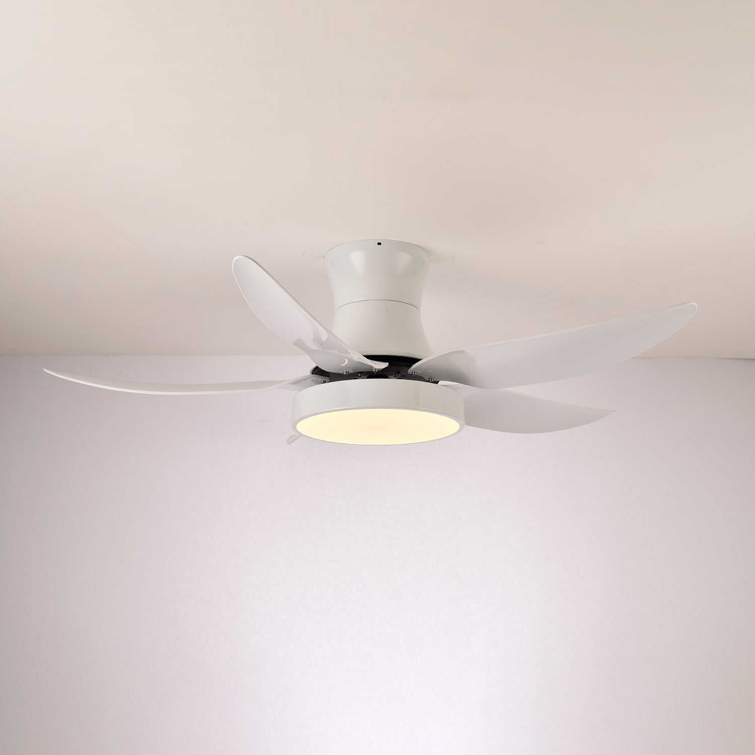 Jada Modern Black Ceiling Fan Light
