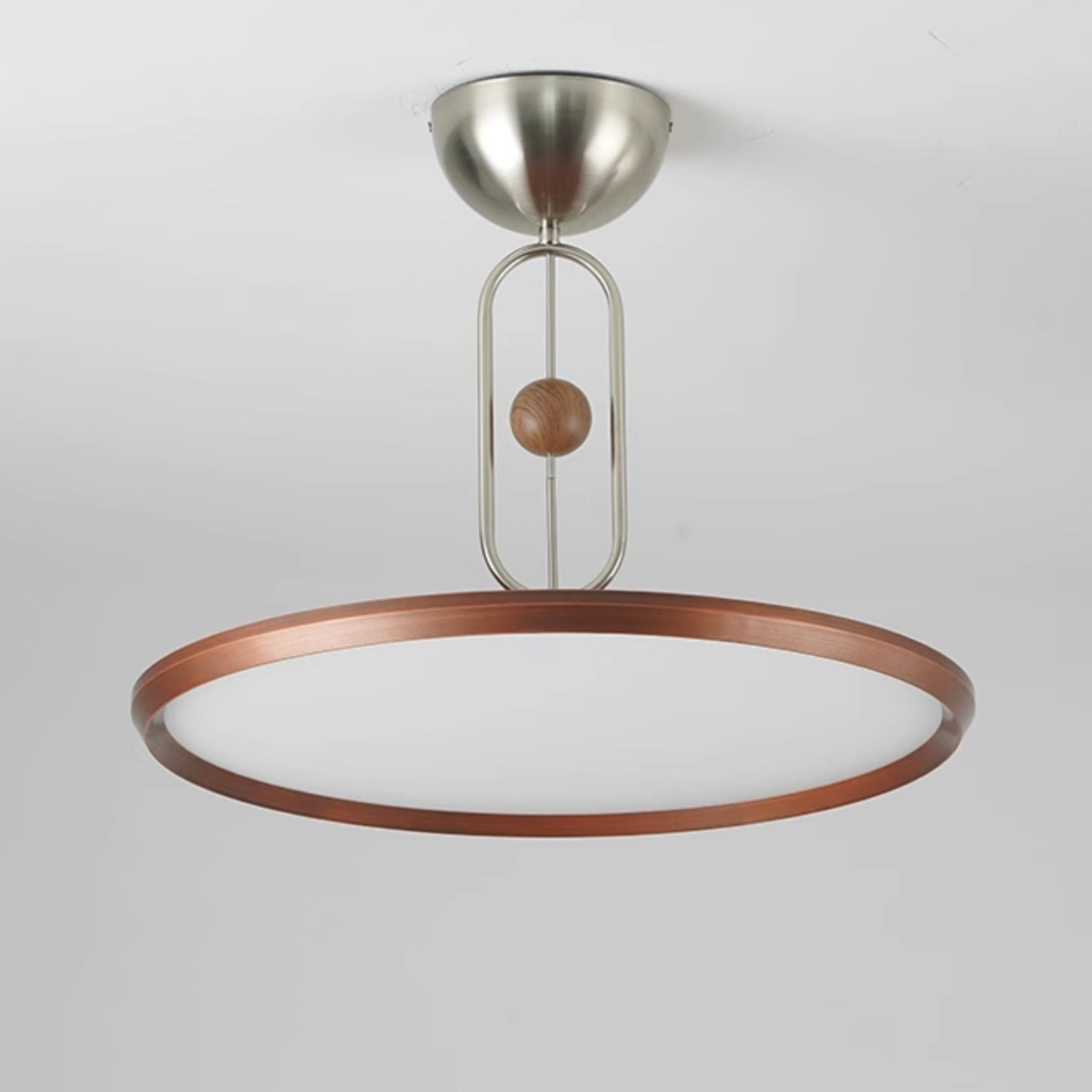 Lucaian Modern Acrylic Ceiling Lamp