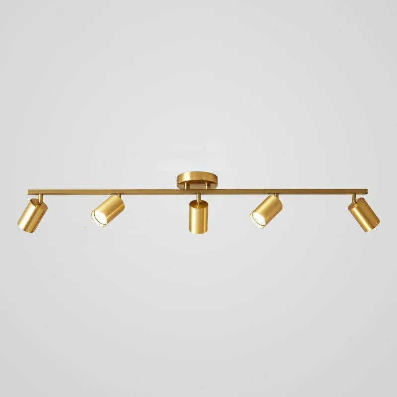Aim Modern Ceiling Light Spotlight Cast 3 Color 3/4/5/6 Head - Neutral Decor