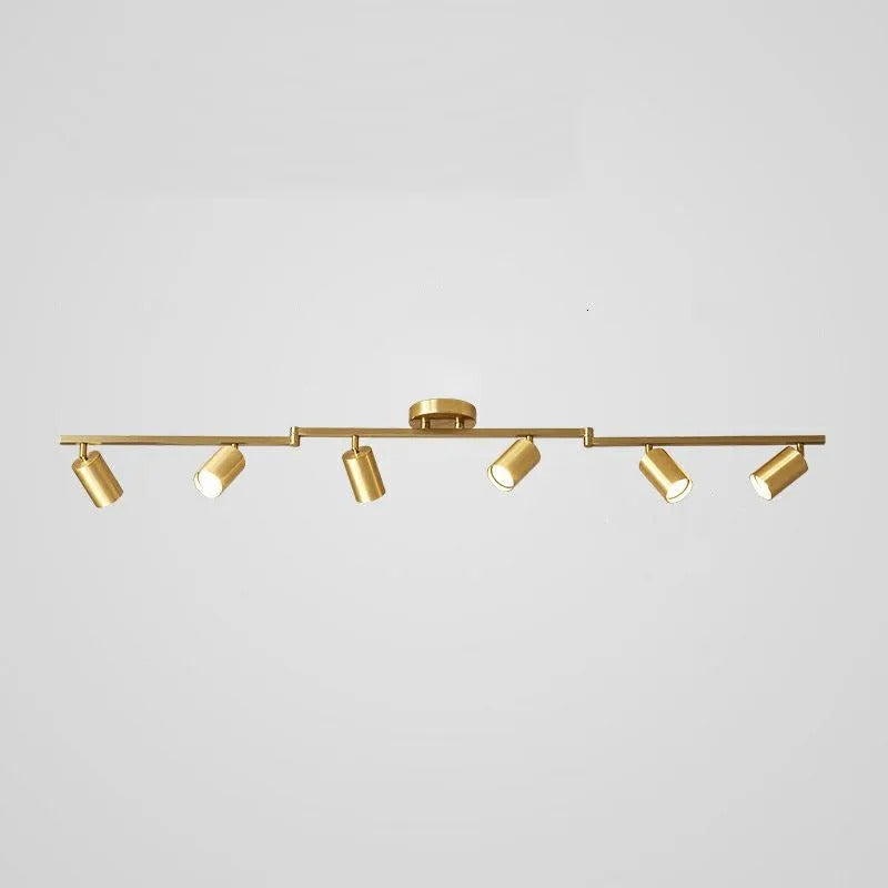 Aim Modern Ceiling Light Spotlight Cast 3 Color 3/4/5/6 Head - Neutral Decor
